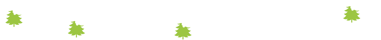 snow-footer snow-footer